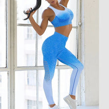 Leggings esculpidos con efecto degradado azul